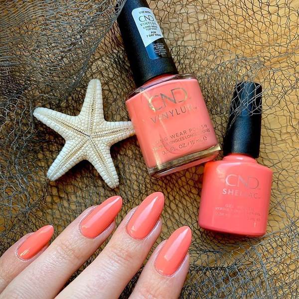 SMALTO SEMIPERMANENTE SHELLAC Catch Of The Day